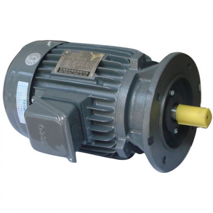 東元普通立式電機AEVFF3系列